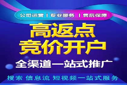 关键词竞价排名实战案例深度解析